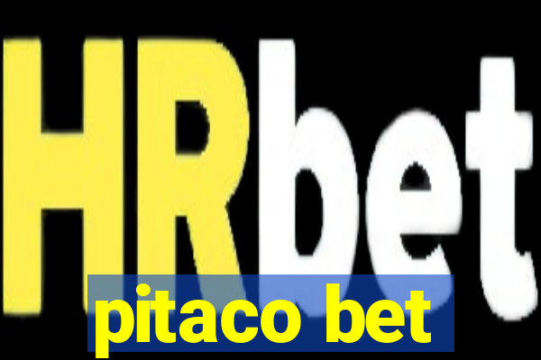 pitaco bet