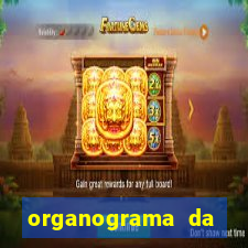 organograma da cacau show