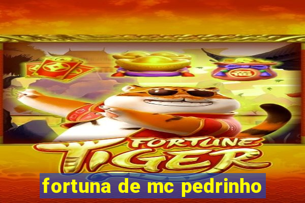 fortuna de mc pedrinho