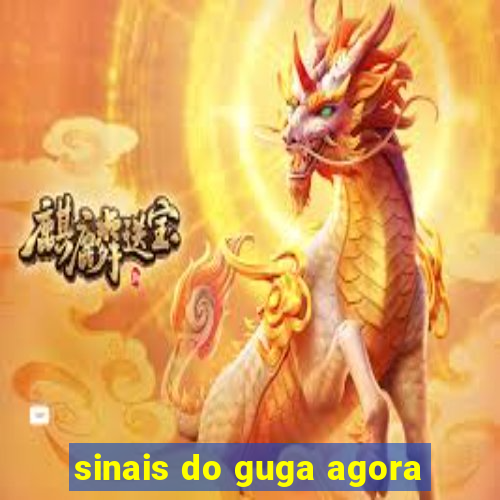 sinais do guga agora