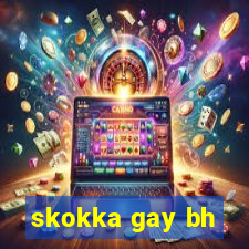 skokka gay bh