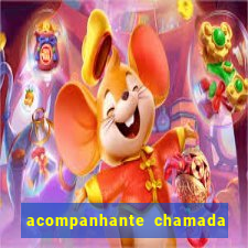 acompanhante chamada de video