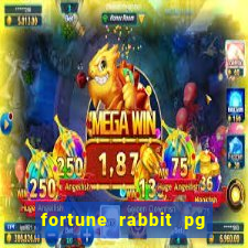 fortune rabbit pg soft Informational