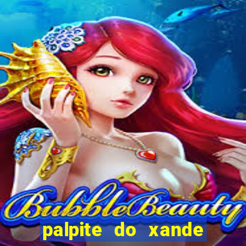 palpite do xande para hoje