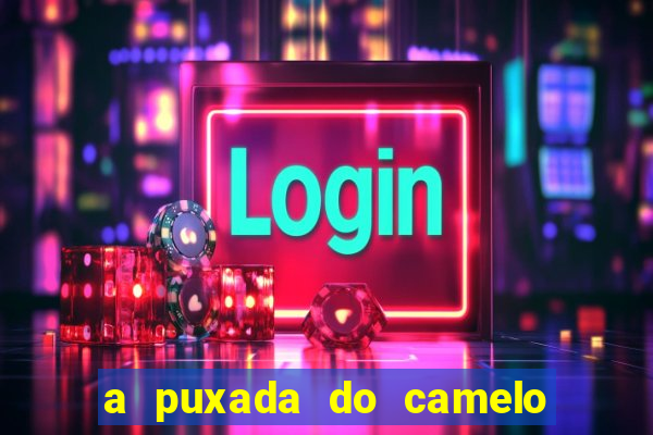 a puxada do camelo no jogo do bicho