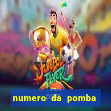 numero da pomba jogo do bicho