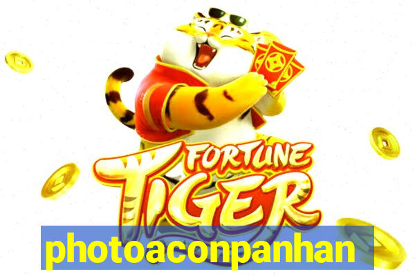 photoaconpanhante