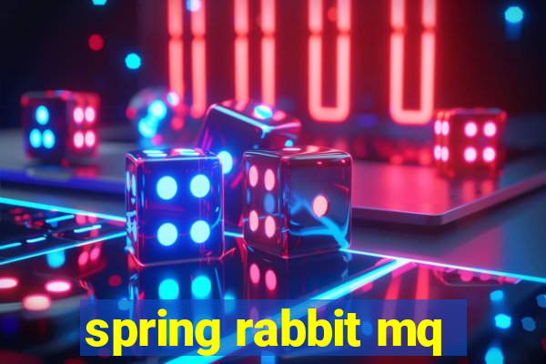 spring rabbit mq