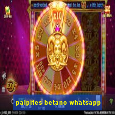 palpites betano whatsapp