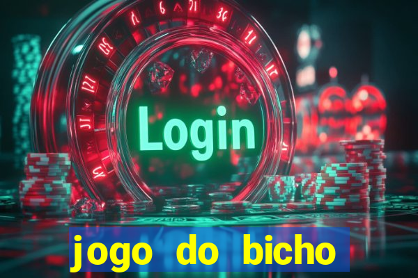 jogo do bicho crash bingo