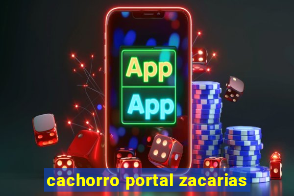 cachorro portal zacarias