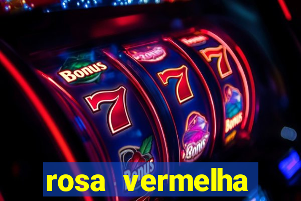 rosa vermelha (letra e cifra)