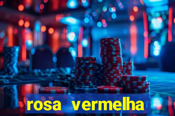 rosa vermelha (letra e cifra)