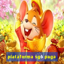 plataforma sg6 paga