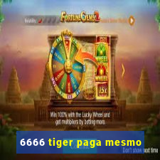 6666 tiger paga mesmo