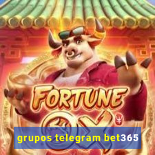 grupos telegram bet365