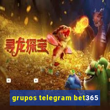 grupos telegram bet365