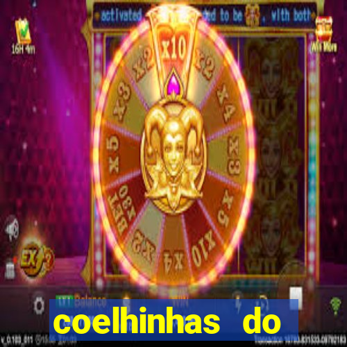 coelhinhas do brasil site