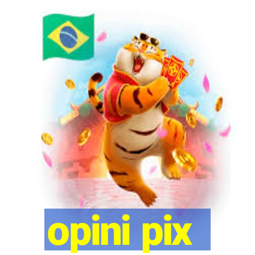 opini pix