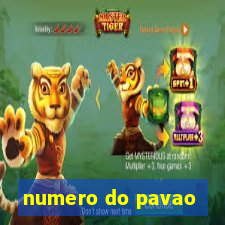 numero do pavao