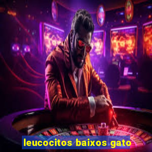 leucocitos baixos gato