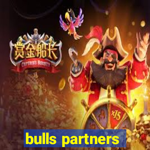 bulls partners