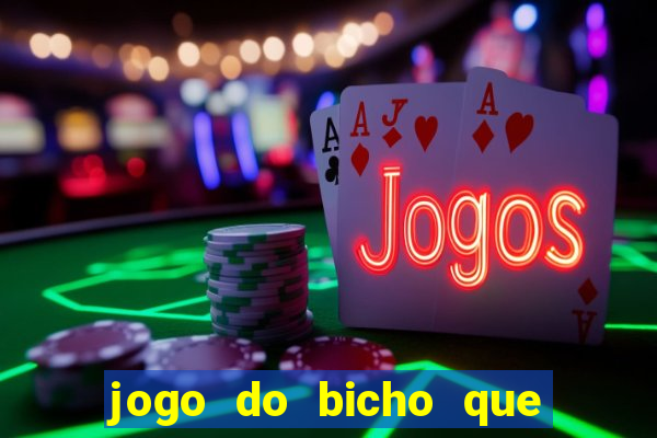 jogo do bicho que paga no pix