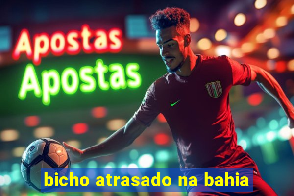 bicho atrasado na bahia