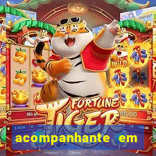 acompanhante em nova mutum