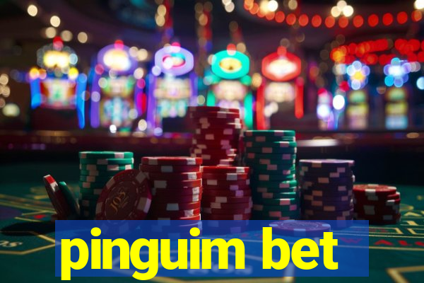 pinguim bet