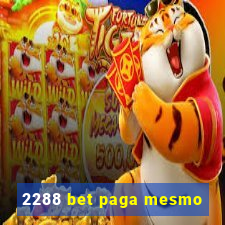 2288 bet paga mesmo