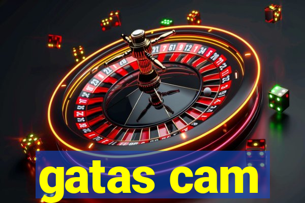 gatas cam