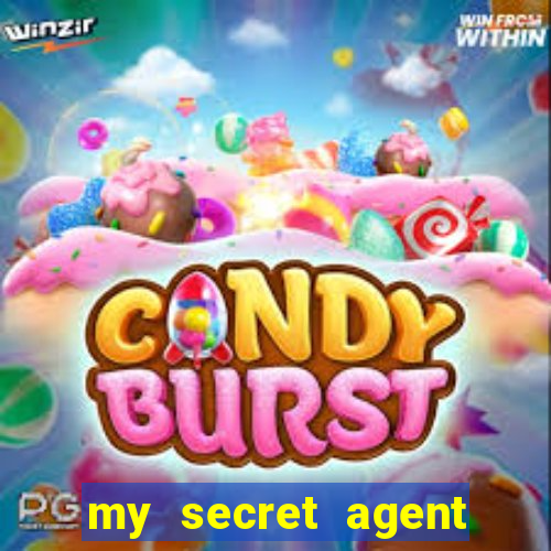 my secret agent husband legendado