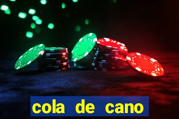 cola de cano quanto tempo para secar