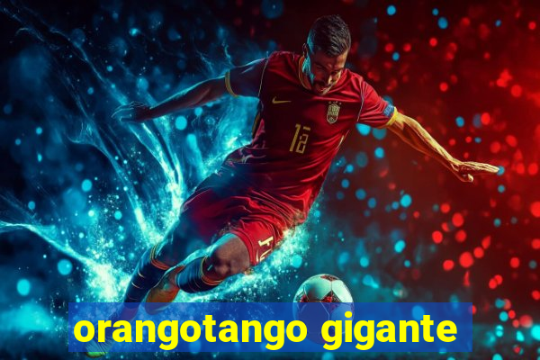 orangotango gigante