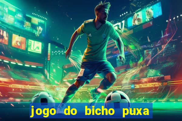 jogo do bicho puxa de dona maria