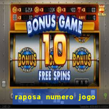 raposa numero jogo do bicho