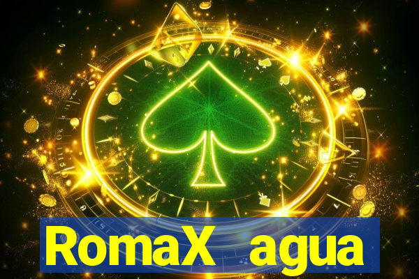 RomaX agua sanitaria fispq agua sanitaria romax