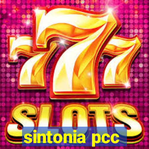 sintonia pcc