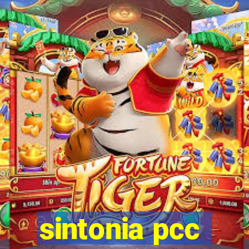 sintonia pcc