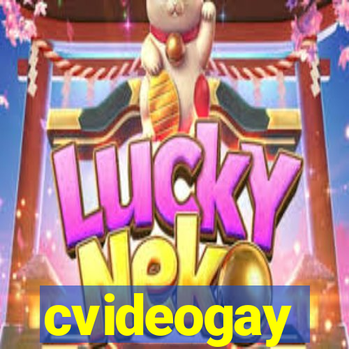 cvideogay