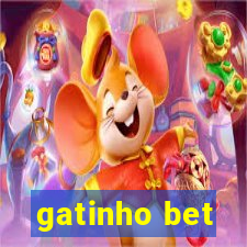 gatinho bet