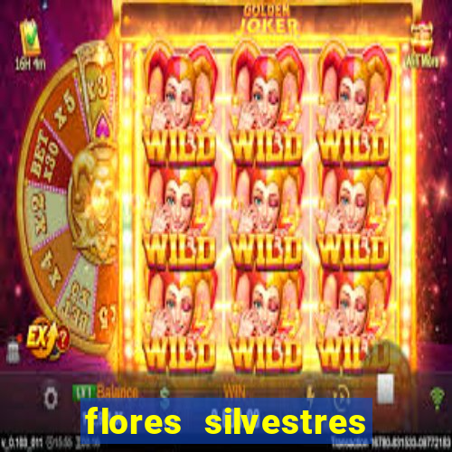 flores silvestres desbravadores desbravadores 25 flores silvestres e seus nomes