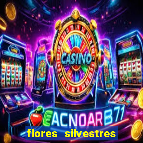 flores silvestres desbravadores desbravadores 25 flores silvestres e seus nomes