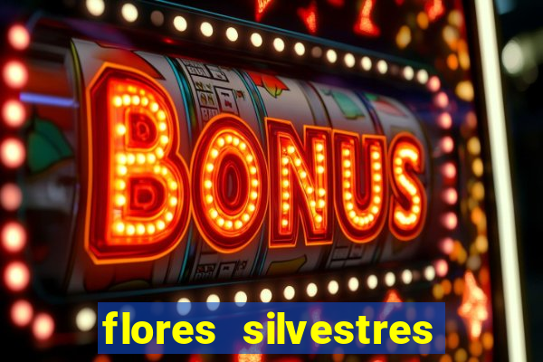 flores silvestres desbravadores desbravadores 25 flores silvestres e seus nomes