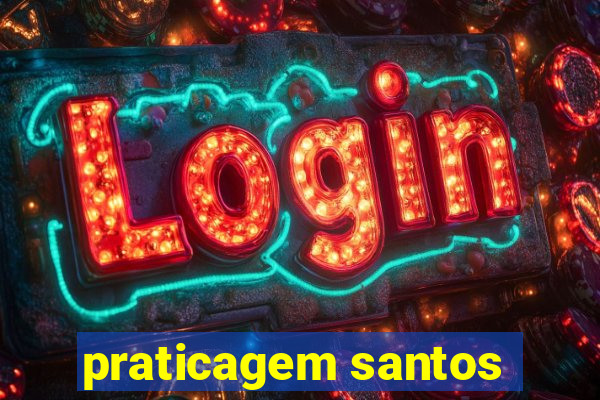 praticagem santos