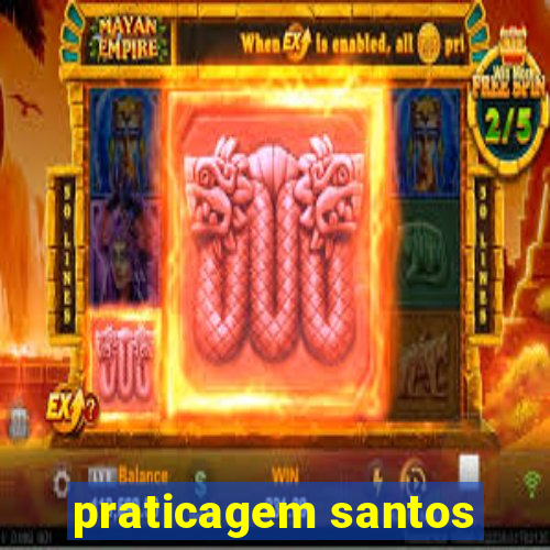 praticagem santos