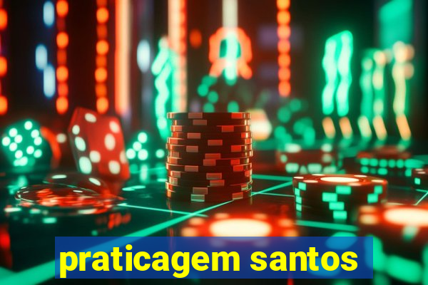 praticagem santos