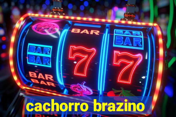 cachorro brazino