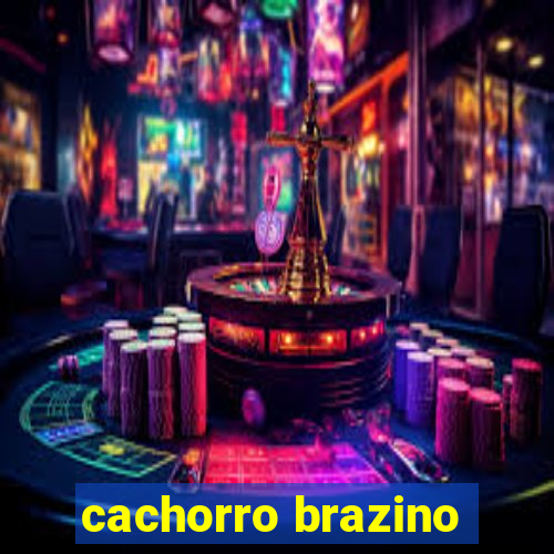 cachorro brazino